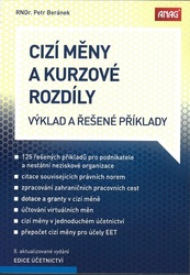Cizí měny a kurzové rozdíly