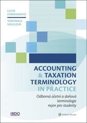 Accounting and Taxation Terminology in Practice